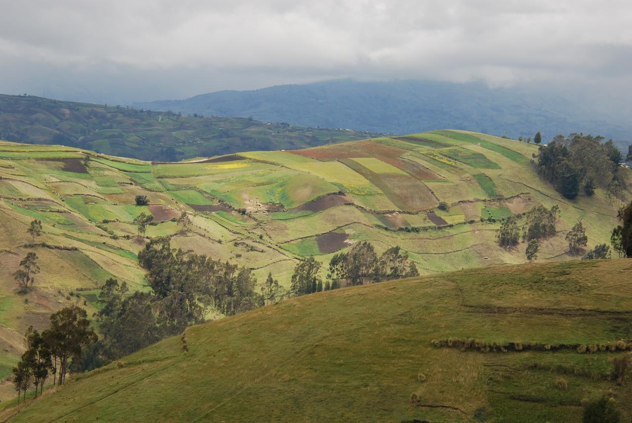 فيلا Turismo Comunitario La Esperanza Hacienda Colta المظهر الخارجي الصورة